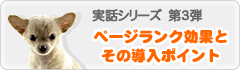 実話シリーズ第3弾 ページランク効果とその導入ポイント