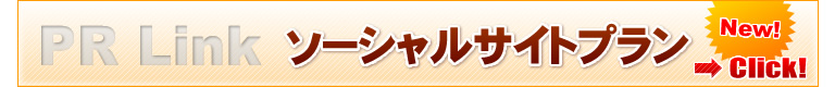 ソーシャルサイトプラン